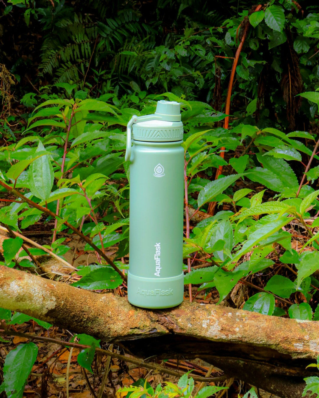 セラドングリーン 650ml / 22oz - Earth Collection